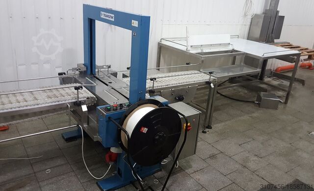 Weighing and packing line frozen fish NMTEH SIA NM-FF2026