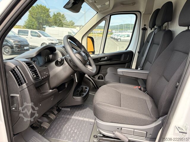 Panel van Fiat Ducato