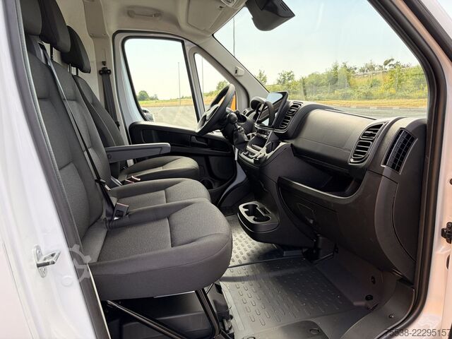 Panel van Fiat Ducato