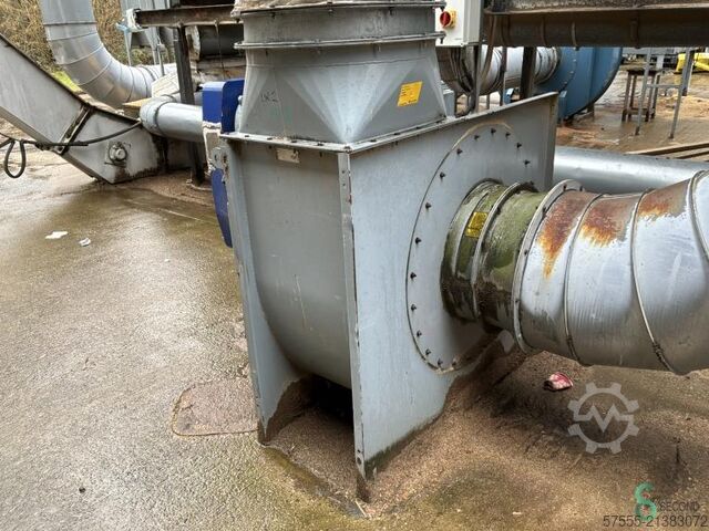 Extraction  Disa 2002 Disa 