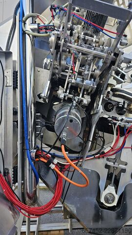 Fischverarbeitungs-Entkopfungsmaschine Curio C-3027 Whitefish Heading Machine