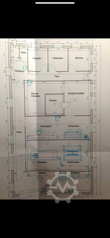 Complete TECMAT poultry slaughterhouse line Tecmat 300-500