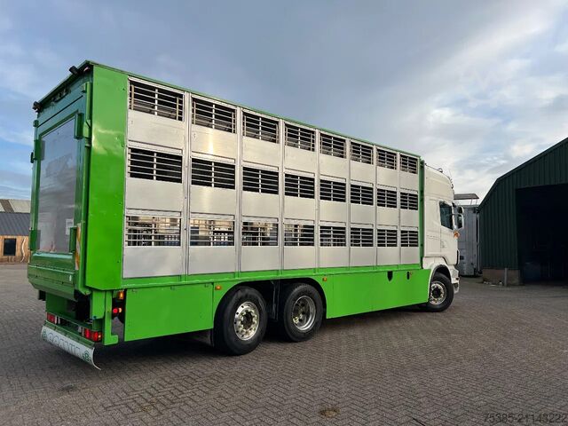 Viehtransport Scania R560 V8 6x2/4 Finkl Type2 Wage/weigh lift belas...