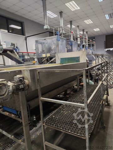 M&P Engineering onion peeling full line Onion processing line-full peeling line 