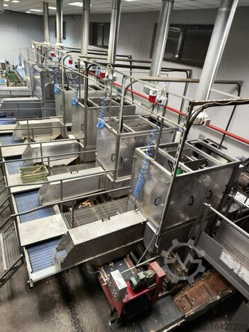 M&P Engineering onion peeling full line Onion processing line-full peeling line 