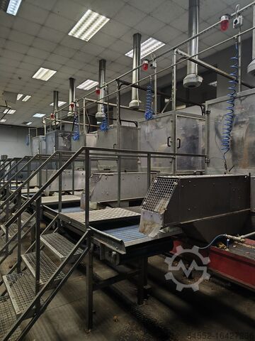M&P Engineering onion peeling full line Onion processing line-full peeling line 