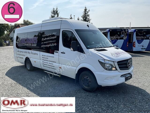 Passenger transport Mercedes-Benz Sprinter 519