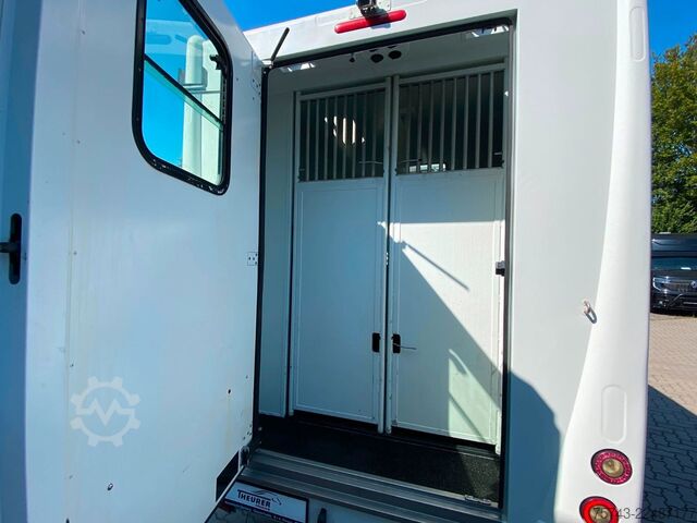Livestock transporter RENAULT Theault Proteo   5 Sitzer  Haras / Hengste