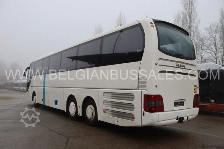 Coach MAN Lions Coach R09