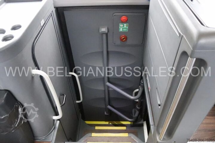 Coach MAN Lions Coach R09