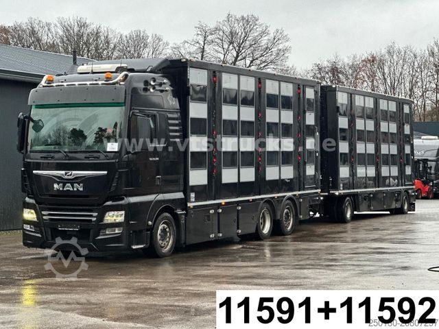 Viehtransporter LKW MAN TGX 26.500 3./4. Stock Menke-Janzen Komplettzug