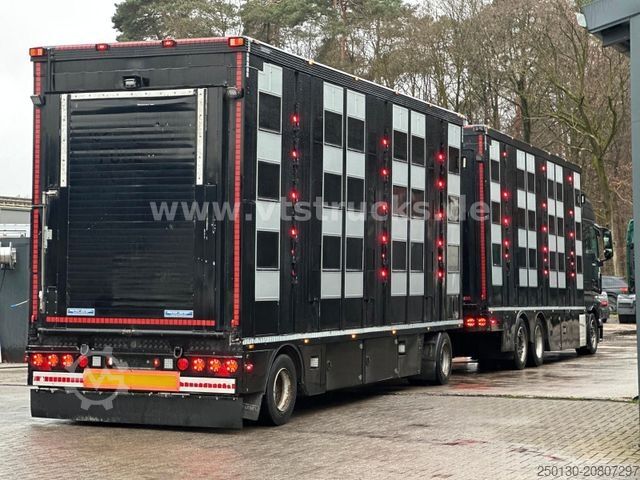 Viehtransporter LKW MAN TGX 26.500 3./4. Stock Menke-Janzen Komplettzug