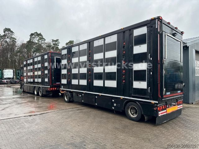 Viehtransporter LKW MAN TGX 26.500 3./4. Stock Menke-Janzen Komplettzug