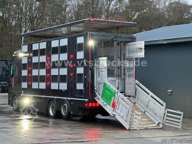 Viehtransporter LKW MAN TGX 26.500 3./4. Stock Menke-Janzen Komplettzug