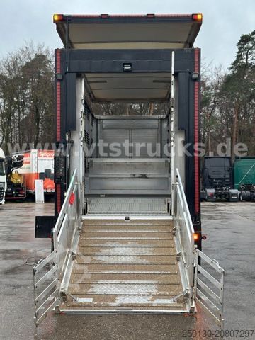 Viehtransporter LKW MAN TGX 26.500 3./4. Stock Menke-Janzen Komplettzug