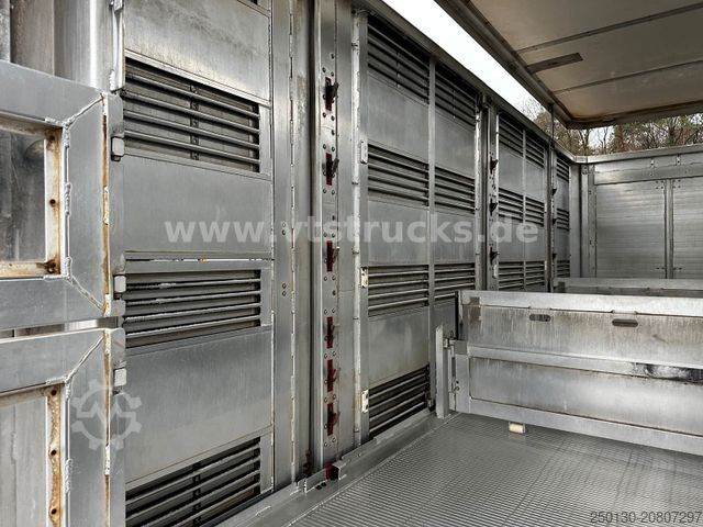 Viehtransporter LKW MAN TGX 26.500 3./4. Stock Menke-Janzen Komplettzug