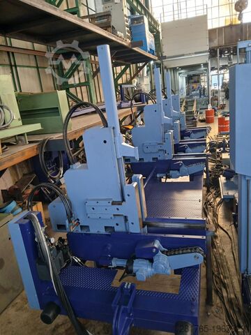 Primultini 1300 log cutting line Primultini 1300