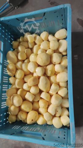 Fully peeling & vacum potatoes line Dornow 20M-AT-MS