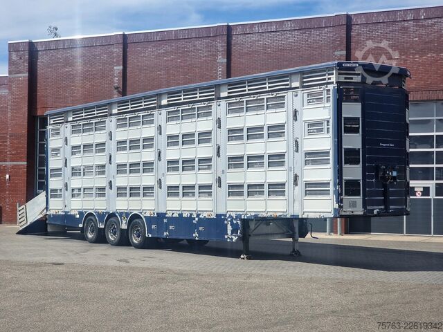 Viehtransport Pezzaioli 3/4 deck livestock - 134.8m2 - Water & Ventilat...