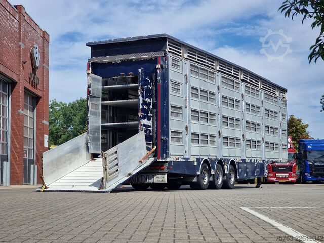 Viehtransport Pezzaioli 3/4 deck livestock - 134.8m2 - Water & Ventilat...