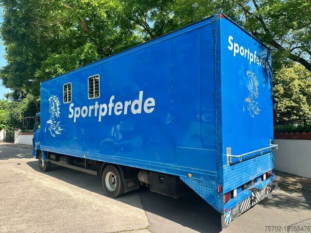 Viehtransporter Mercedes-Benz 817 L 1-4 Pferde Oldtimer