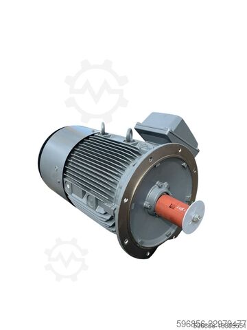 Siemens Electric Motor 55 kW 2975 rpm Siemens 55kW 2975obr/min