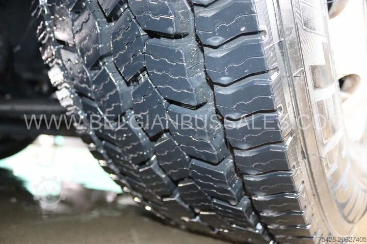 Coach MAN Lion's Coach C R10