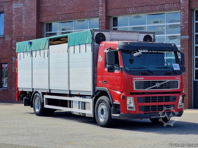 Cattle transport Volvo FM 300 4x2 - Livestock 1 deck - Ventilation - E...