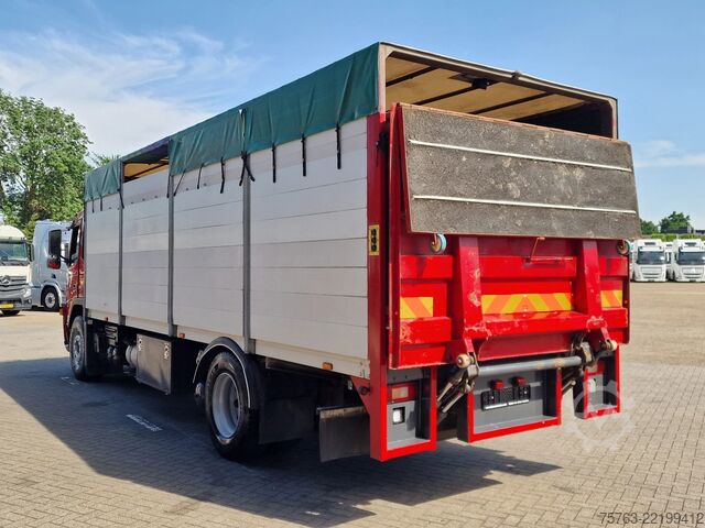 Cattle transport Volvo FM 300 4x2 - Livestock 1 deck - Ventilation - E...