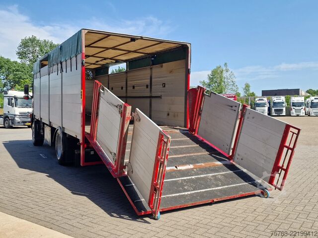 Cattle transport Volvo FM 300 4x2 - Livestock 1 deck - Ventilation - E...