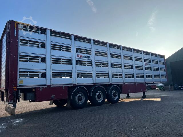 Viehtransport Berdex Newnion 4 stock livestock Type2 liftaxle 2