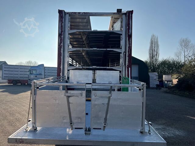 Viehtransport Berdex Newnion 4 stock livestock Type2 liftaxle 2