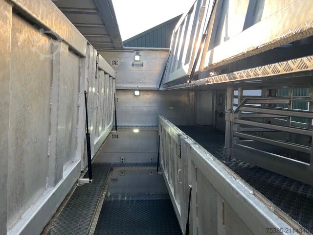 Viehtransport Berdex Newnion 4 stock livestock Type2 liftaxle 2