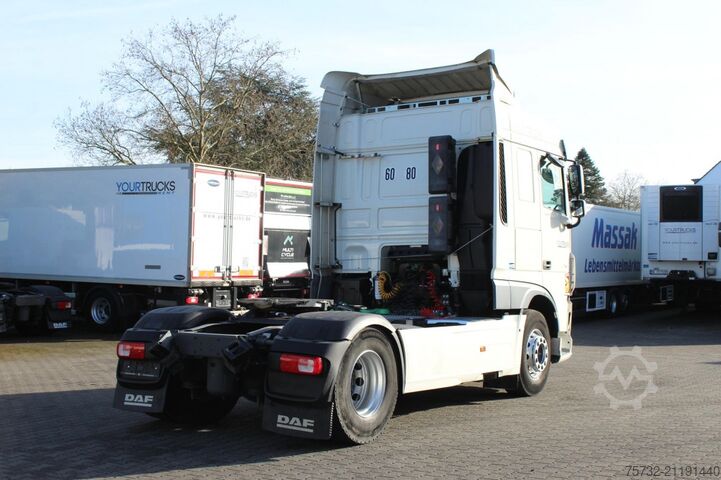 Standard SZM Daf XF  480 SC   Kühlbox   Standheizung   Vollspoiler