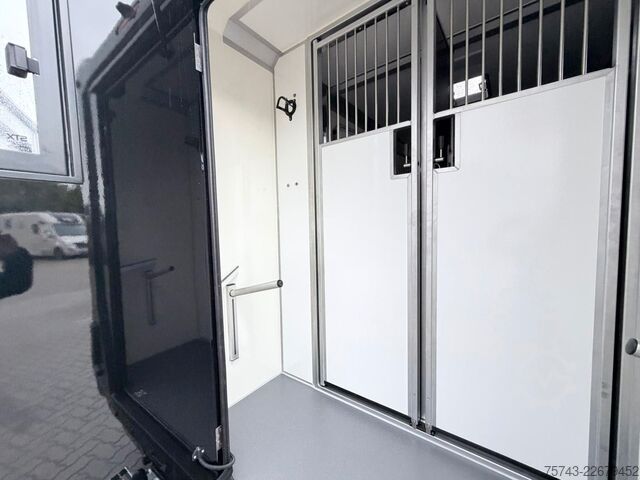 Livestock transporter RENAULT Master STX 5 Sitzer Haras ex. Lang Automatik