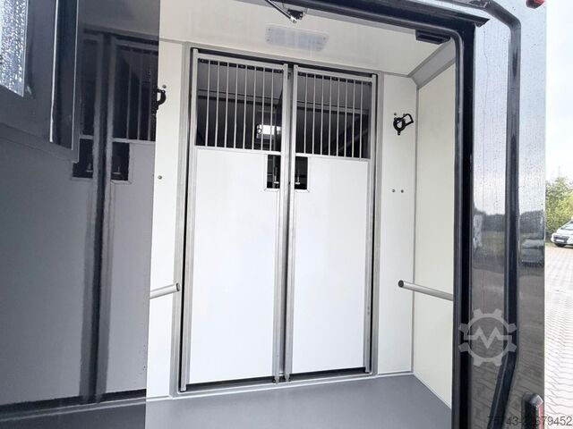 Livestock transporter RENAULT Master STX 5 Sitzer Haras ex. Lang Automatik