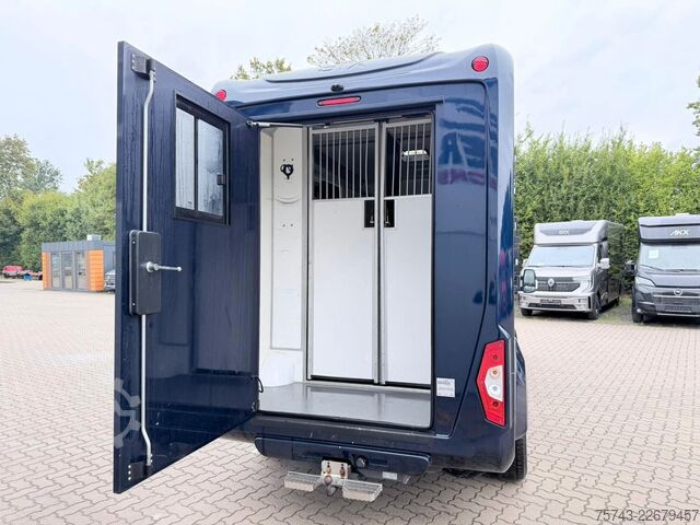 Livestock transporter FORD Transit STX  Haras 1-2 Pferde
