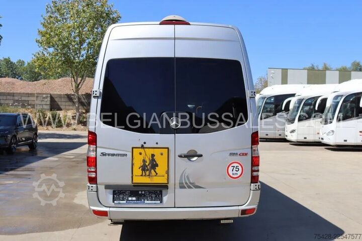 Kleinbus Mercedes-Benz Sprinter / Airco
