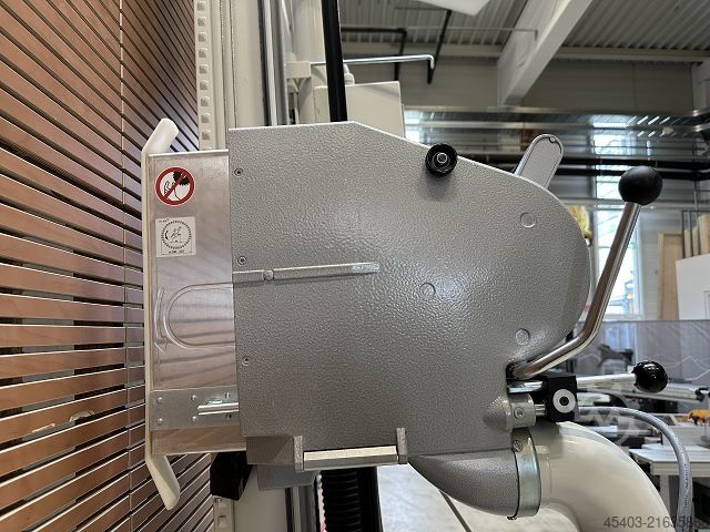 Plattensäge stehend Striebig STANDARD TRK 1 6224