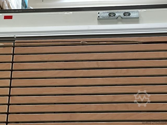 Plattensäge stehend Striebig STANDARD TRK 1 6224