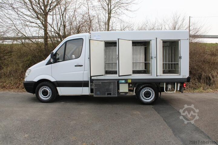 Refrigerator body van MERCEDES-BENZ Sprinter 310 ColdCar 3+3 Türen -33°C