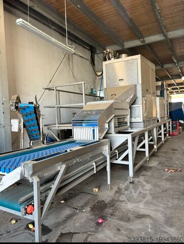 Finis-Eillert - Onion Peeling Line Finis-Eillert