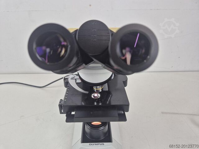 Olympus CX31RBSF Microscope Olympus CX31RBSF