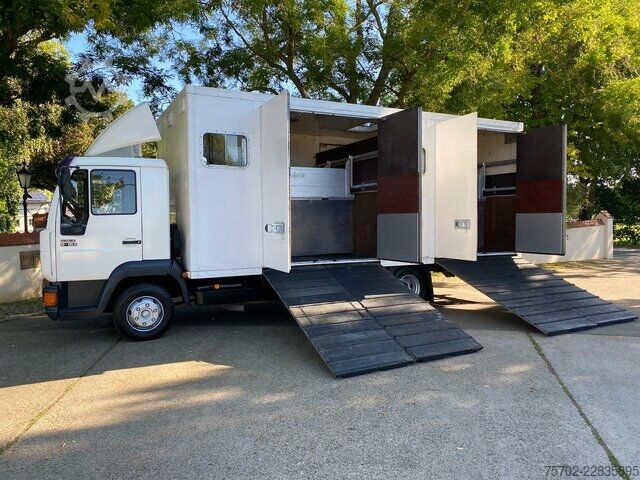 Van MAN 8163 Niehoffsystem 4-6 Pferde
