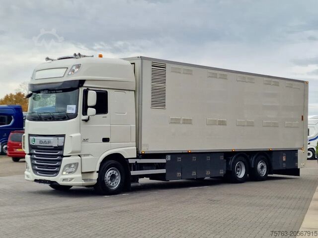 Viehtransport DAF XF 440 SuperSpaceCab 6x2*4 - 2 deck Closed Live...