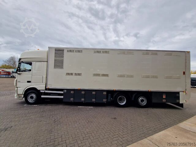 Viehtransport DAF XF 440 SuperSpaceCab 6x2*4 - 2 deck Closed Live...