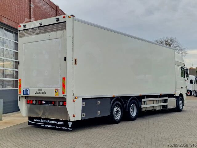 Viehtransport DAF XF 440 SuperSpaceCab 6x2*4 - 2 deck Closed Live...