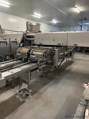 Egg packaging machine Sanovo opti grader 600