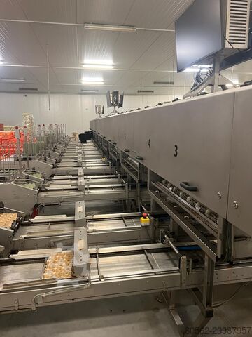 Egg packaging machine Sanovo opti grader 600