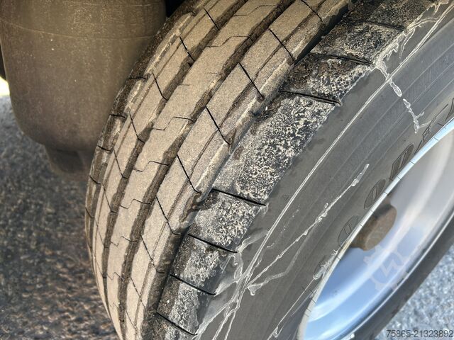 Kühl-/Tiefkühltransport SOR Iberica SP71 / Carrier Vector 1850 / Frigo Box / Loadli...